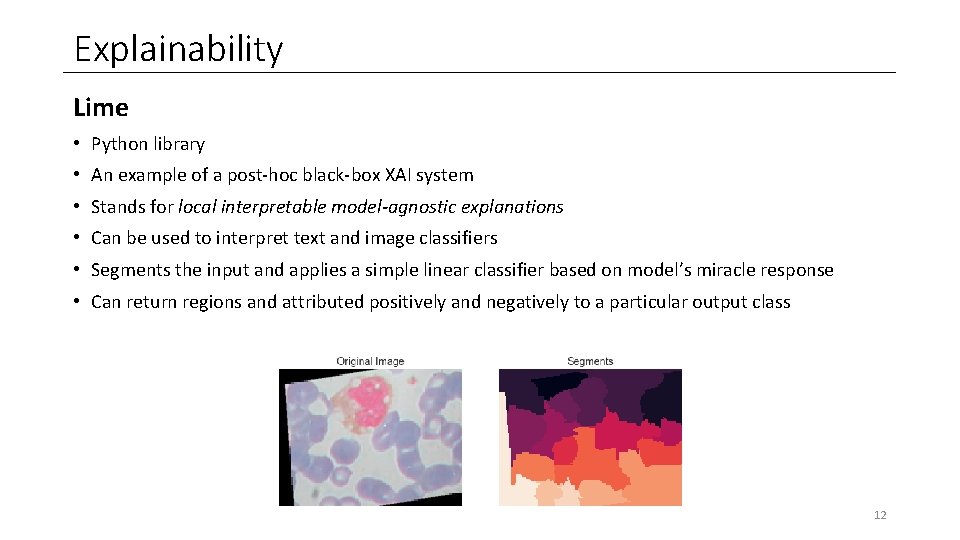 Explainability Lime • Python library • An example of a post-hoc black-box XAI system Explainability Lime • Python library • An example of a post-hoc black-box XAI system