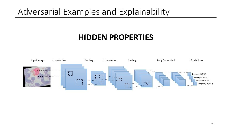Adversarial Examples and Explainability HIDDEN PROPERTIES 20 Adversarial Examples and Explainability HIDDEN PROPERTIES 20