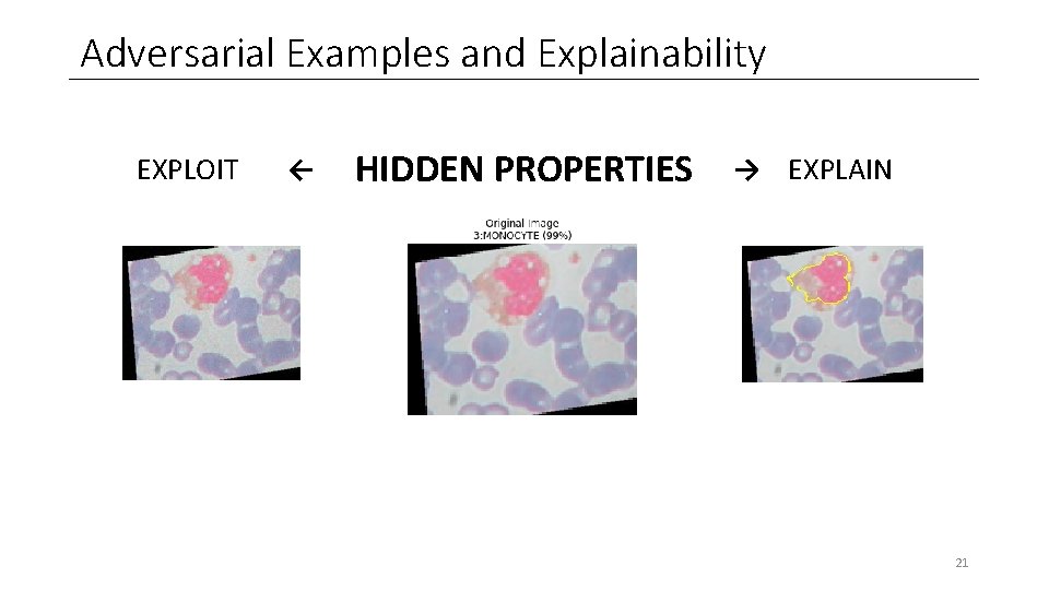 Adversarial Examples and Explainability EXPLOIT ← HIDDEN PROPERTIES → EXPLAIN 21 Adversarial Examples and Explainability EXPLOIT ← HIDDEN PROPERTIES → EXPLAIN 21