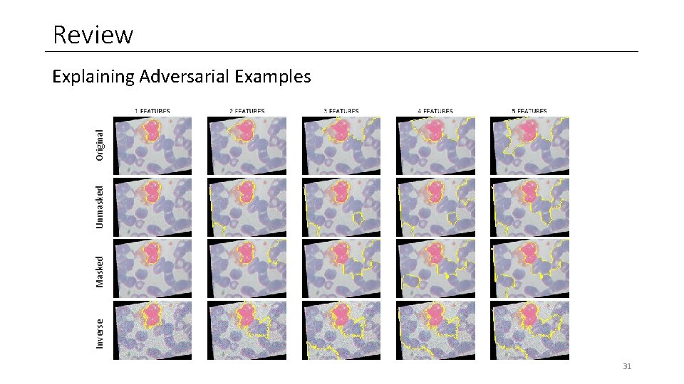 Review Inverse Masked Unmasked Original Explaining Adversarial Examples 31 Review Inverse Masked Unmasked Original Explaining Adversarial Examples 31