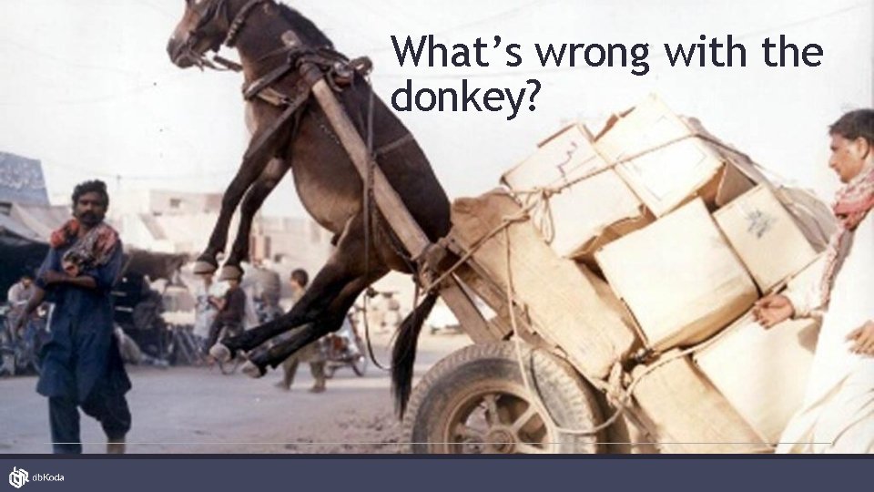 What’s wrong with the donkey? 