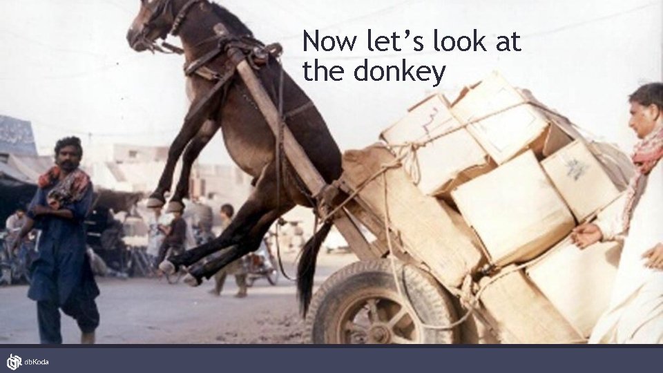 Now let’s look at the donkey 