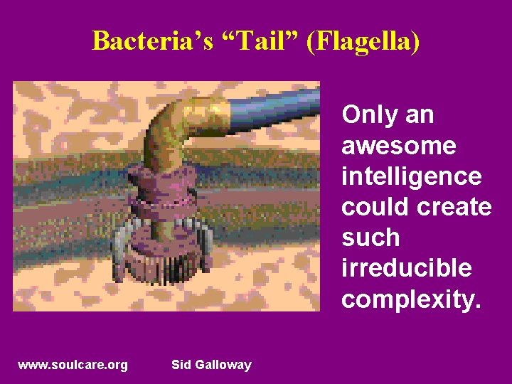 Bacteria’s “Tail” (Flagella) Only an awesome intelligence could create such irreducible complexity. www. soulcare.