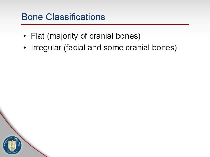 Bone Classifications • Flat (majority of cranial bones) • Irregular (facial and some cranial