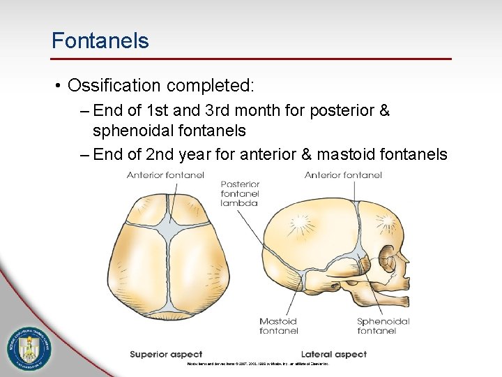 Fontanels • Ossification completed: – End of 1 st and 3 rd month for