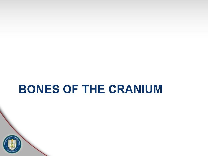 BONES OF THE CRANIUM 