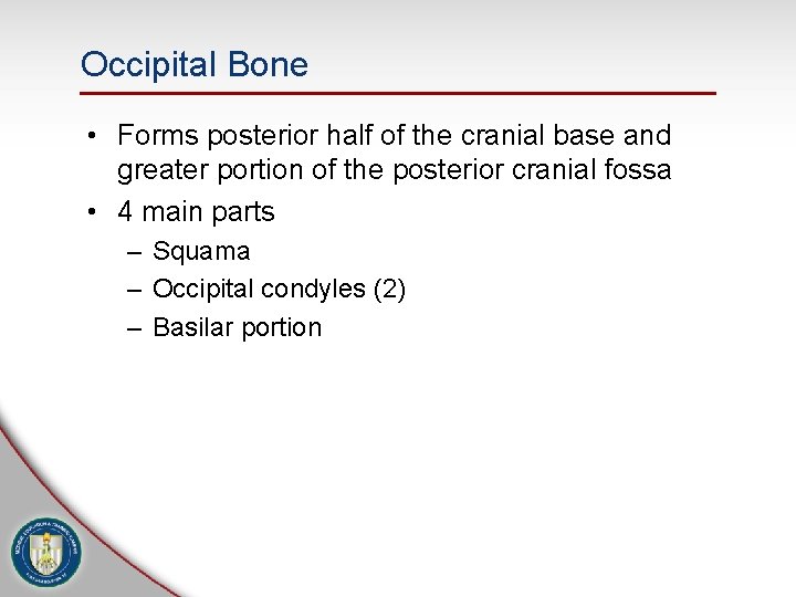 Occipital Bone • Forms posterior half of the cranial base and greater portion of