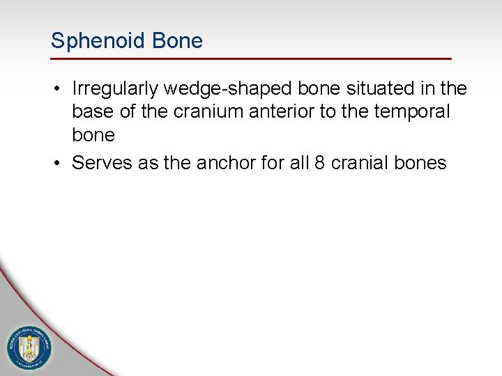 Sphenoid Bone • Irregularly wedge-shaped bone situated in the base of the cranium anterior