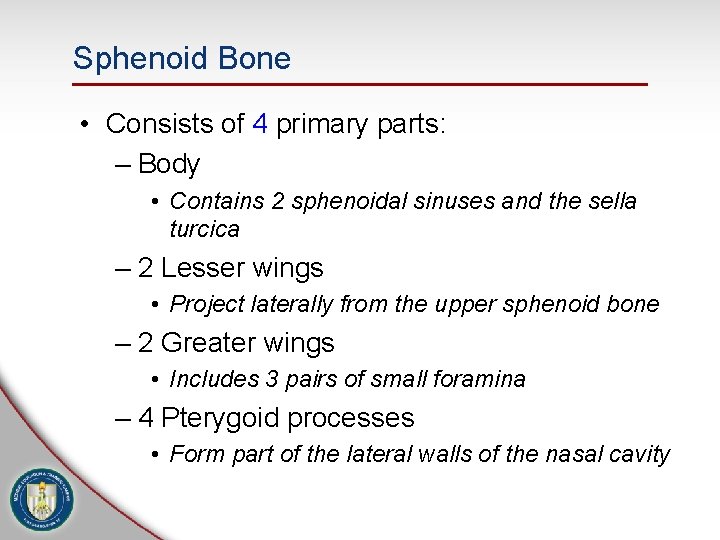 Sphenoid Bone • Consists of 4 primary parts: – Body • Contains 2 sphenoidal