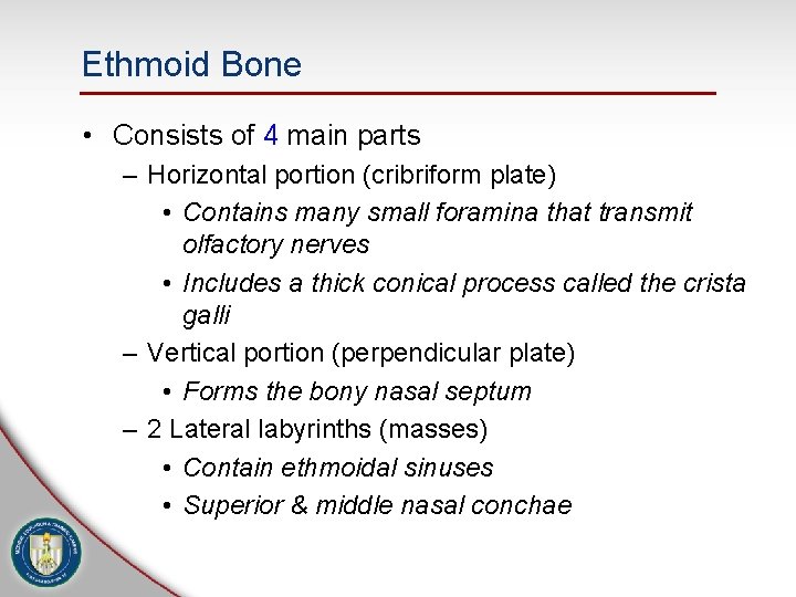 Ethmoid Bone • Consists of 4 main parts – Horizontal portion (cribriform plate) •