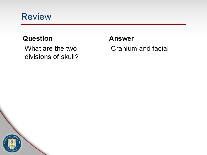 Review Question What are the two divisions of skull? Answer Cranium and facial 