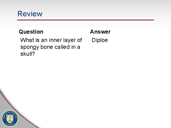 Review Question What is an inner layer of spongy bone called in a skull?