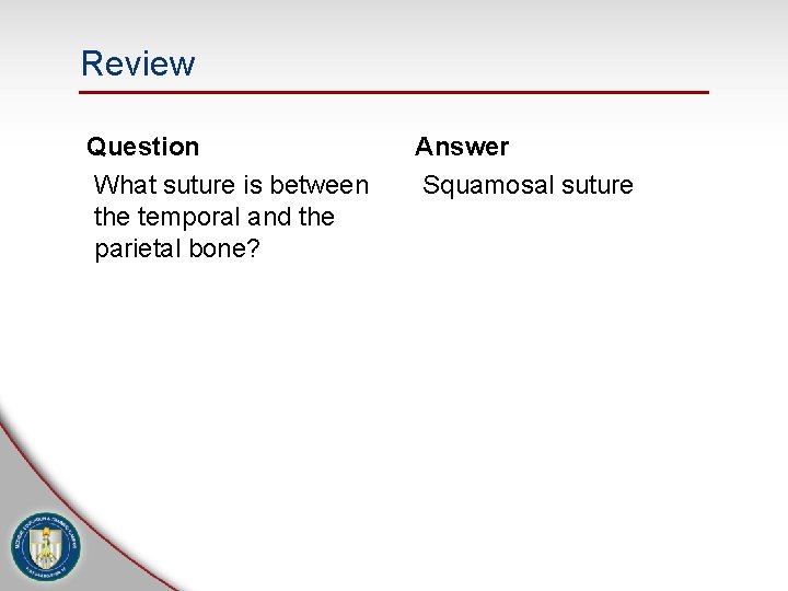 Review Question What suture is between the temporal and the parietal bone? Answer Squamosal