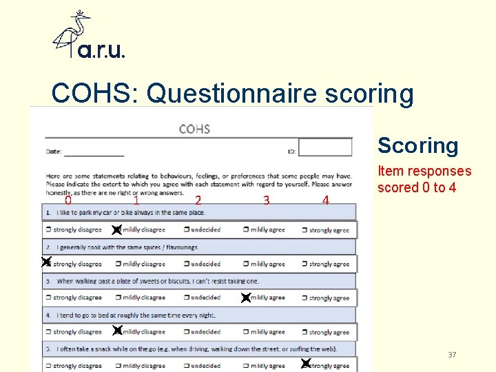 COHS: Questionnaire scoring Scoring 0 2/24/2021 1 2 3 Becoming a Researcher: Using Data