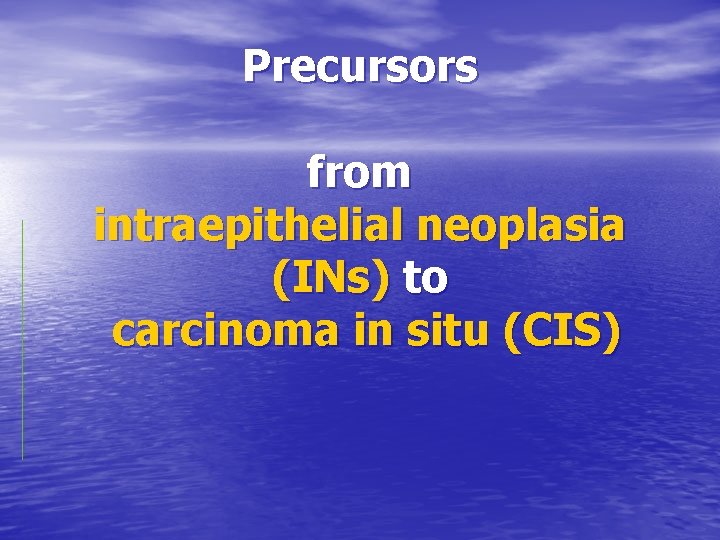 Precursors from intraepithelial neoplasia (INs) to carcinoma in situ (CIS) 