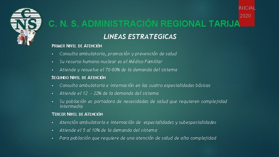 INICIAL 2020 C. N. S. ADMINISTRACIÓN REGIONAL TARIJA LINEAS ESTRATEGICAS PRIMER NIVEL DE ATENCIÓN