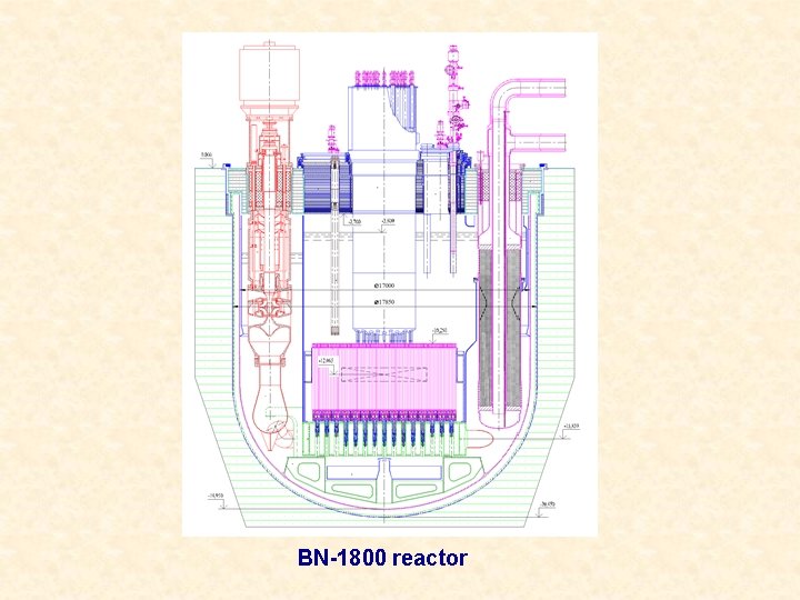 BN-1800 reactor 