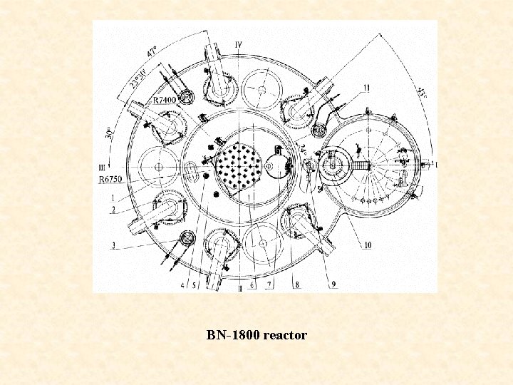 BN-1800 reactor 