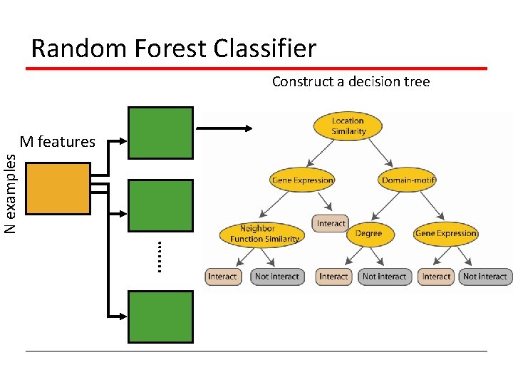 Random Forest Classifier Construct a decision tree . . … N examples M features Random Forest Classifier Construct a decision tree . . … N examples M features