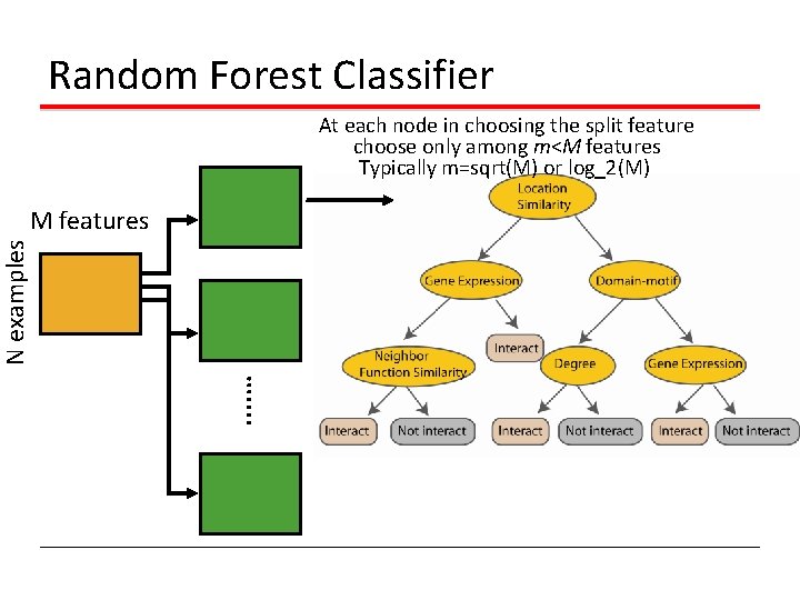Random Forest Classifier At each node in choosing the split feature choose only among