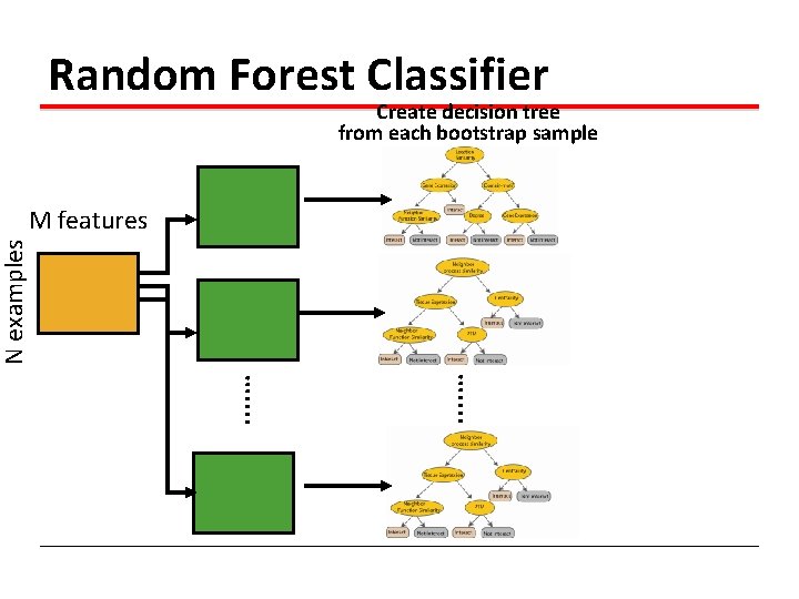Random Forest Classifier Create decision tree from each bootstrap sample . . . . Random Forest Classifier Create decision tree from each bootstrap sample . . . .