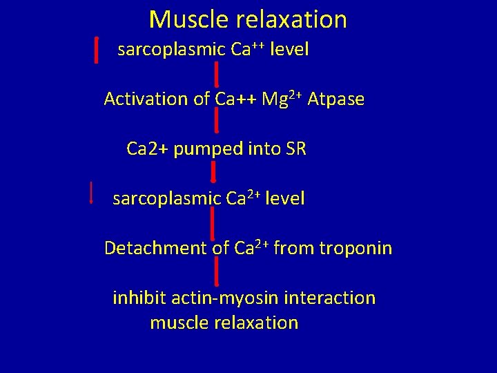 Muscle relaxation sarcoplasmic Ca++ level Activation of Ca++ Mg 2+ Atpase Ca 2+ pumped