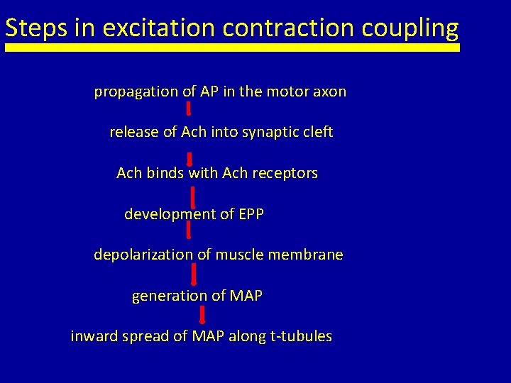 Steps in excitation contraction coupling propagation of AP in the motor axon release of