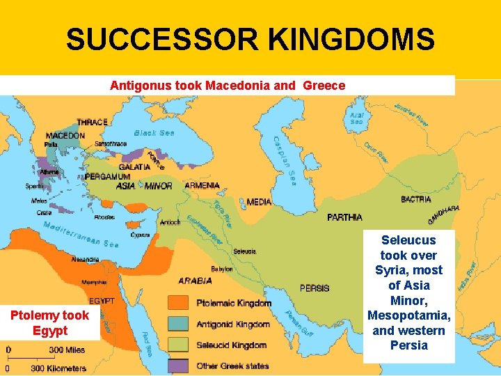 SUCCESSOR KINGDOMS Antigonus took Macedonia and Greece Ptolemy took Egypt Seleucus took over Syria,