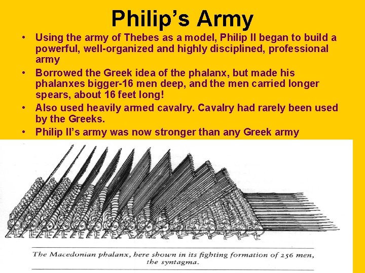 Philip’s Army • Using the army of Thebes as a model, Philip II began