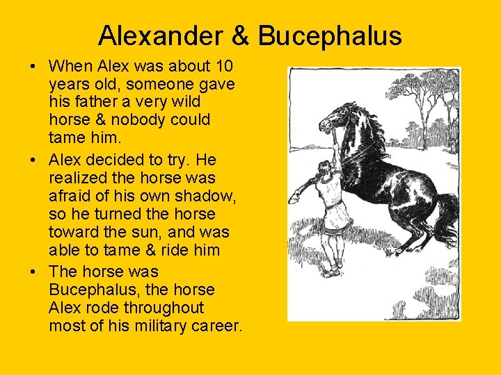 Alexander & Bucephalus • When Alex was about 10 years old, someone gave his