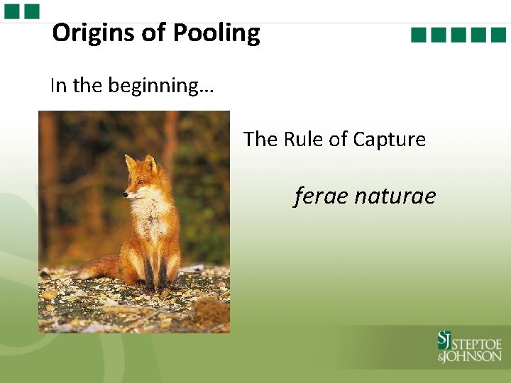 Origins of Pooling In the beginning… The Rule of Capture ferae naturae 