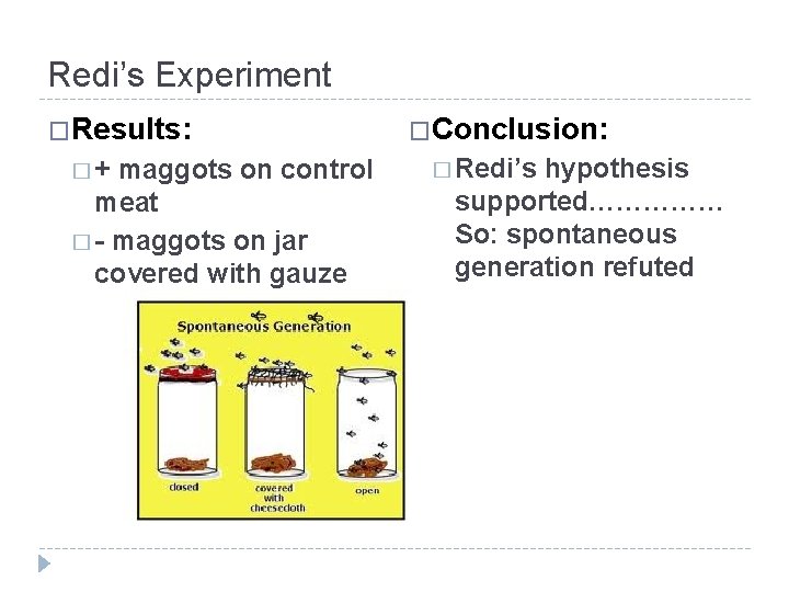 Redi’s Experiment �Results: �+ maggots on control meat � - maggots on jar covered