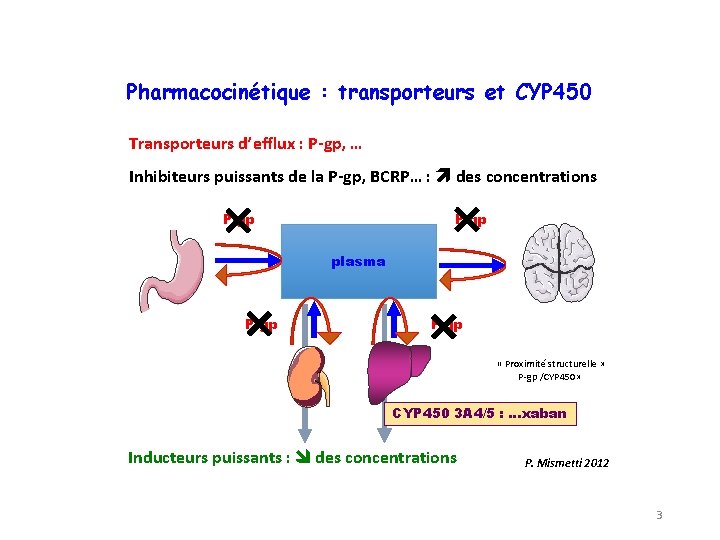 Pharmacocinétique : transporteurs et CYP 450 Transporteurs d’efflux : P-gp, … Inhibiteurs puissants de