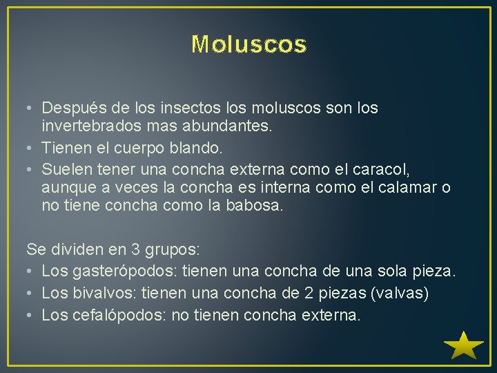 Moluscos • Después de los insectos los moluscos son los invertebrados mas abundantes. •