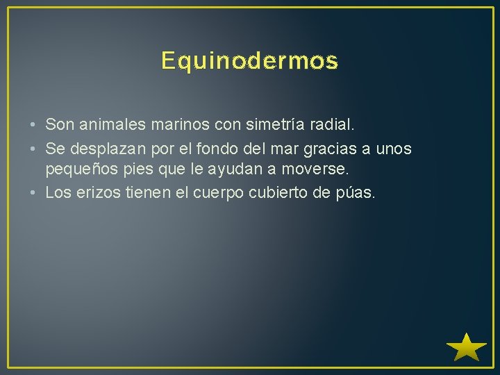 Equinodermos • Son animales marinos con simetría radial. • Se desplazan por el fondo