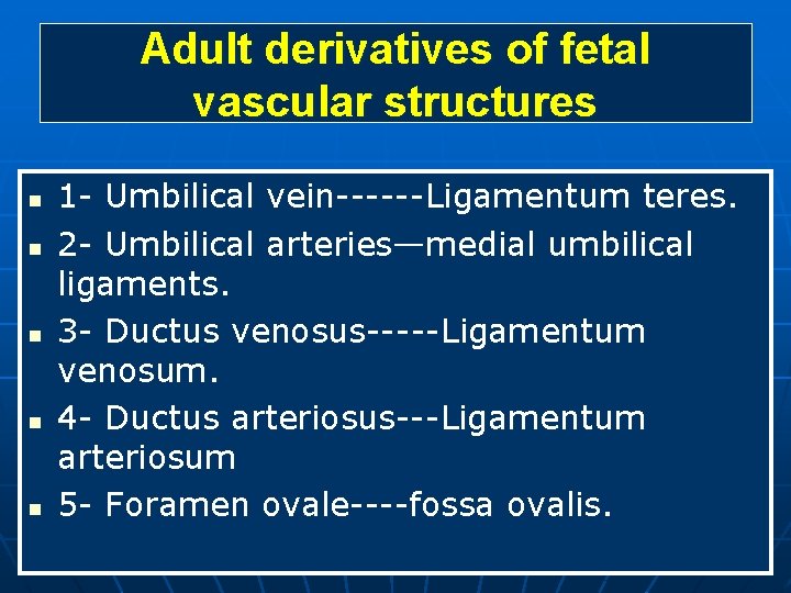 Adult derivatives of fetal vascular structures n n n 1 - Umbilical vein------Ligamentum teres.