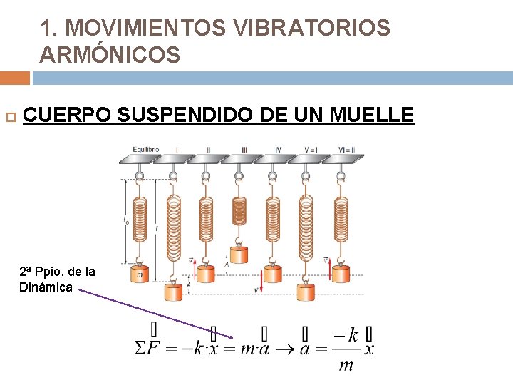 1. MOVIMIENTOS VIBRATORIOS ARMÓNICOS CUERPO SUSPENDIDO DE UN MUELLE 2ª Ppio. de la Dinámica