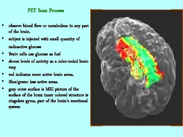 PET Scan Process • observe blood flow or metabolism in any part of the