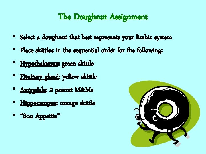 The Doughnut Assignment • • Select a doughnut that best represents your limbic system