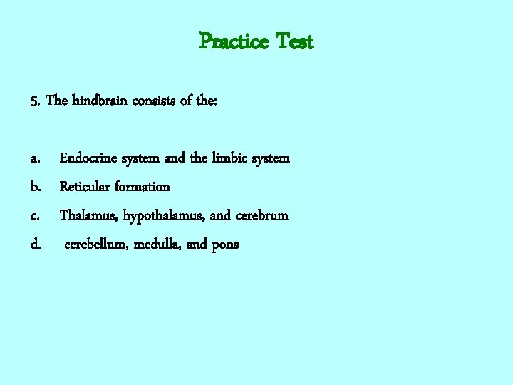 Practice Test 5. The hindbrain consists of the: a. Endocrine system and the limbic