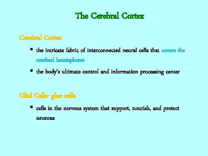 The Cerebral Cortex § the intricate fabric of interconnected neural cells that covers the