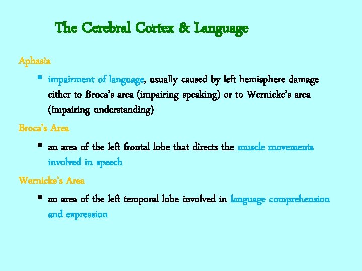 The Cerebral Cortex & Language Aphasia § impairment of language, usually caused by left