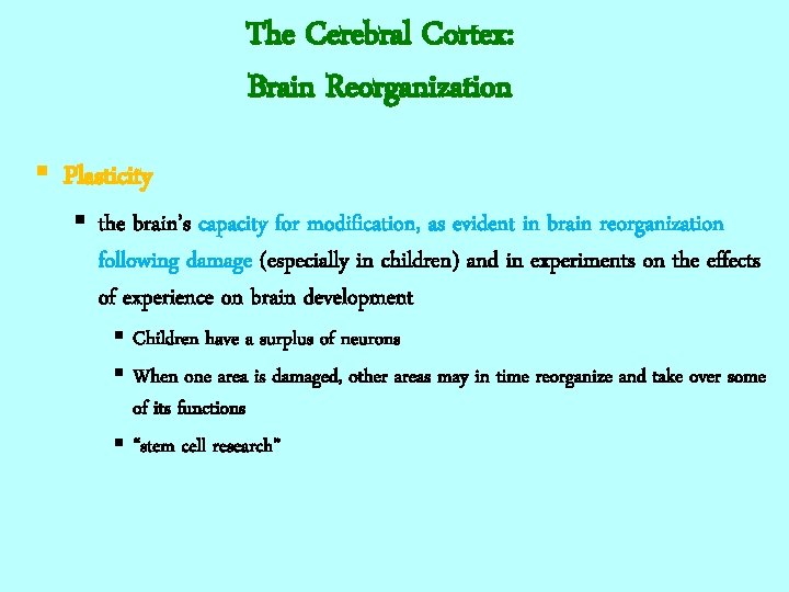 The Cerebral Cortex: Brain Reorganization § Plasticity § the brain’s capacity for modification, as