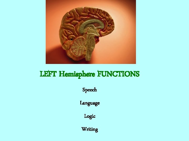 LEFT Hemisphere FUNCTIONS Speech Language Logic Writing 