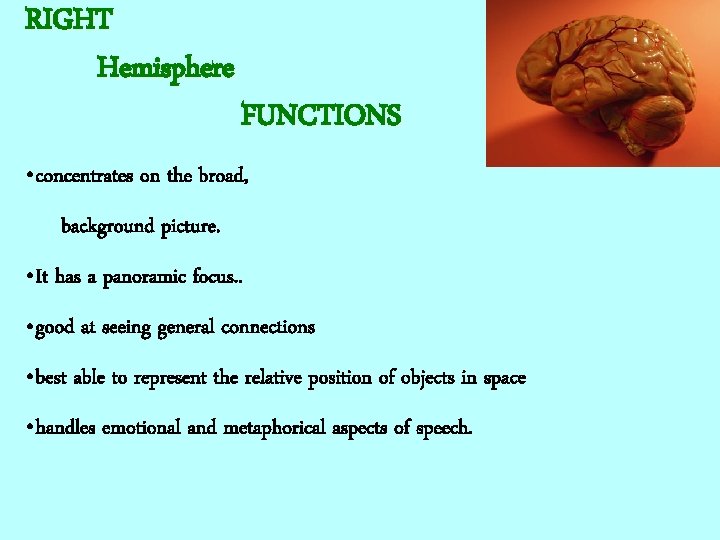 RIGHT Hemisphere FUNCTIONS • concentrates on the broad, background picture. • It has a