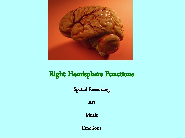 Right Hemisphere Functions Spatial Reasoning Art Music Emotions 