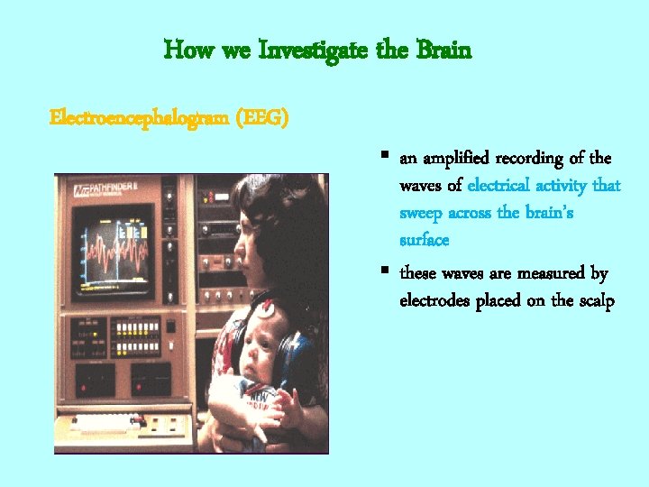 How we Investigate the Brain Electroencephalogram (EEG) § an amplified recording of the waves