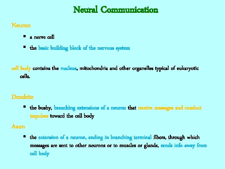 Neuron Neural Communication § a nerve cell § the basic building block of the