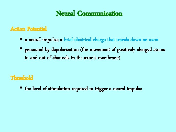 Neural Communication Action Potential § a neural impulse; a brief electrical charge that travels