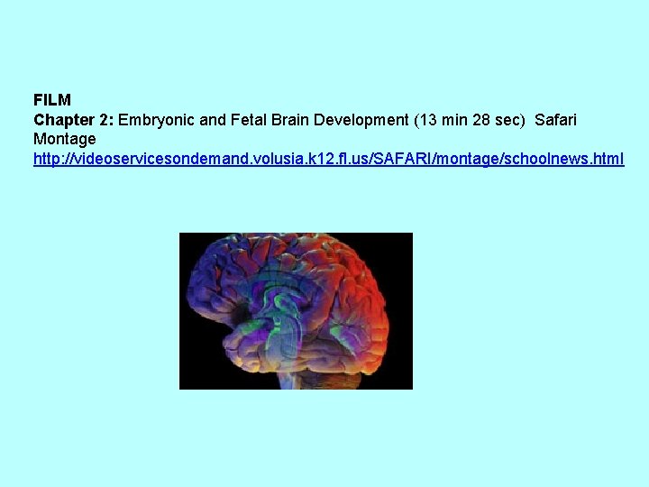 FILM Chapter 2: Embryonic and Fetal Brain Development (13 min 28 sec) Safari Montage